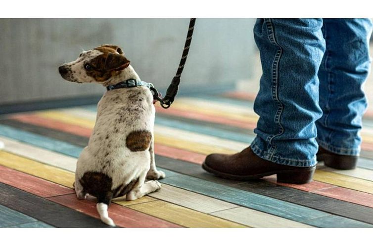 Motel 6-Janesville, WI