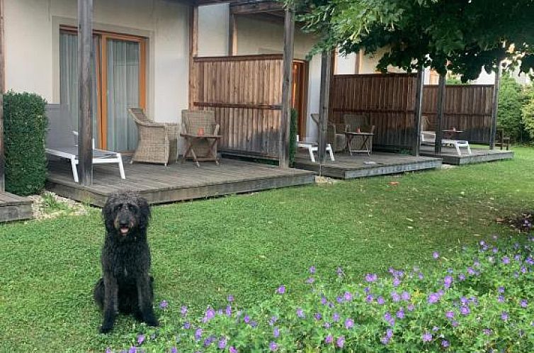 Garten-Hotel Ochensberger