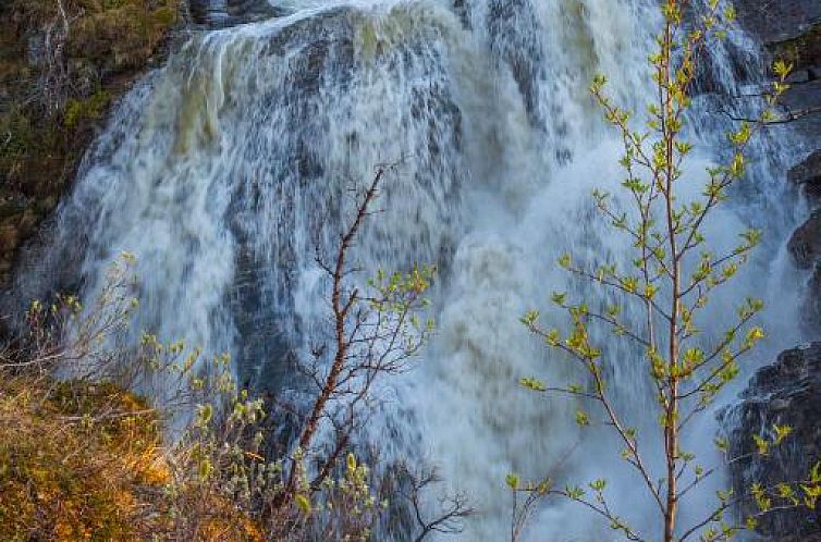 Abisko Guesthouse & Activities