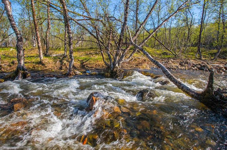 Abisko Guesthouse & Activities