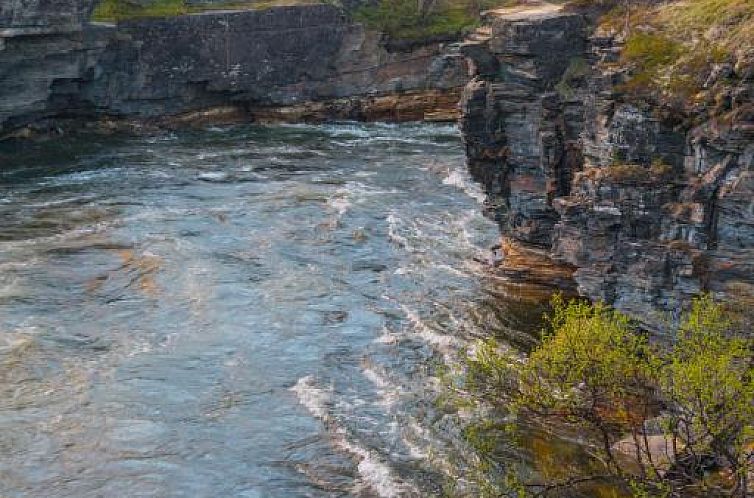 Abisko Guesthouse & Activities