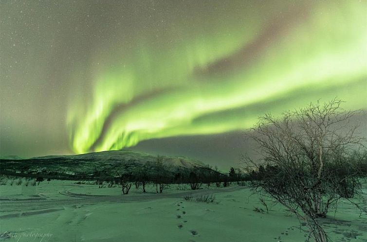 Abisko Guesthouse & Activities