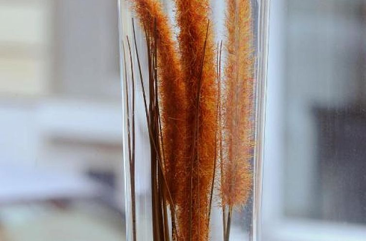 Printania Porte de Versailles