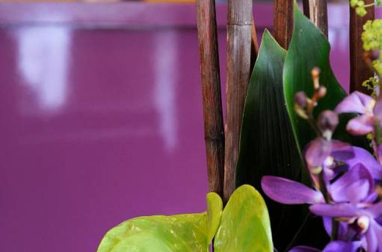 Printania Porte de Versailles