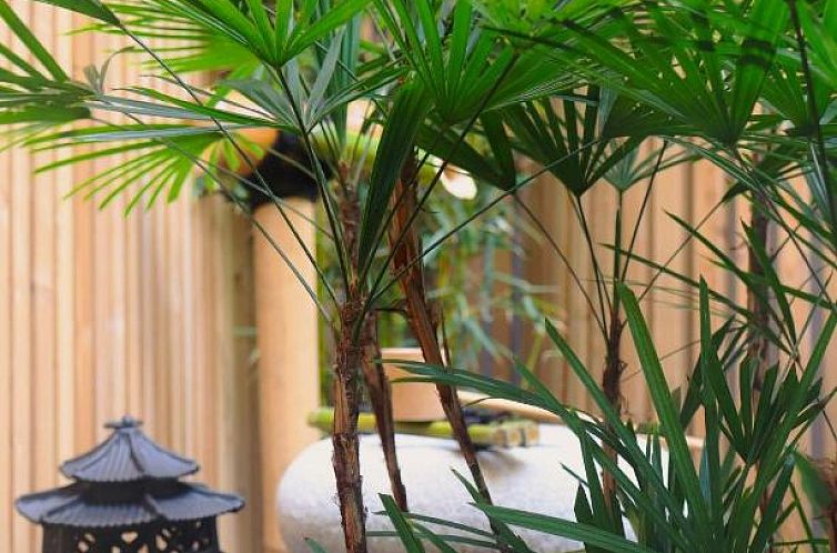 Best Western Premier Hotel Littéraire Le Swann