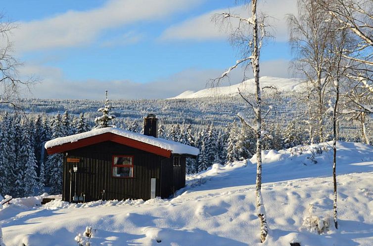 Trysil Hyttegrend