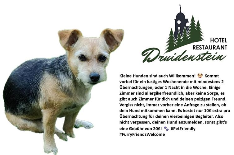 Hotel-Restaurant Druidenstein