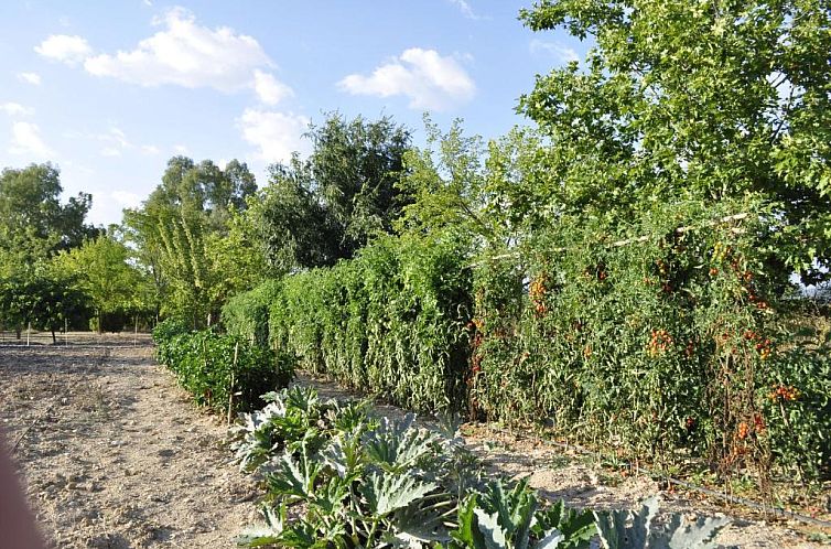 Hotel Rural La Paloma