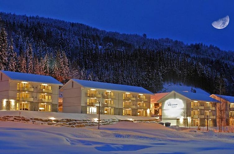 Unterkunft 9710701 - Appartement Ost-Norwegen - Nermo Hotel & Apartments