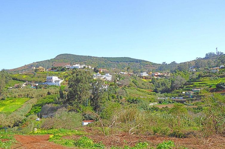 La Alpispa