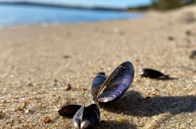 Kaptenshuset Bed & Breakfast