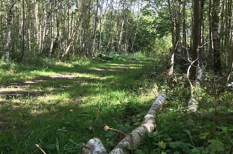 EnJoy Natur, See und Meer Chalet Lauwersoog