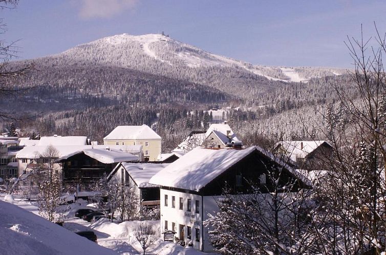 Pension Wiesenau