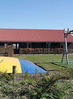 Chalet Spreeuw88, Den Hoorn, Texel, 