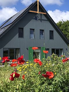 Bungalow Alkema bungalowverhuur Gortersmient, Dennenbos, Texel, 