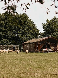 Vakantiewoning Huisje in Torhout, Torhout, West-Vlaanderen, België