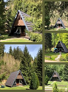 Ferienhaus Vakantiehuis mit Garten, Grill und Terrasse, Lautenthal, Harz, Deutschland