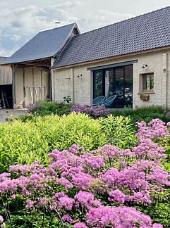 Ferienhaus Bij Wendy, Kluisbergen, Ostflandern, Belgien