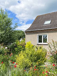 Apartment Appartement Appartement mit Terrasse, Boltenhagen, Baltic Sea, Germany