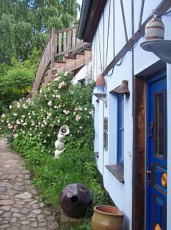 Appartement Appartement Lütte Stuuv, Börgerende, Ostsee, Deutschland