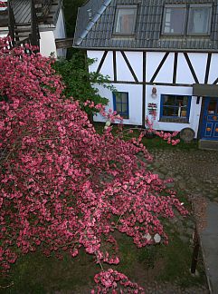 Appartement Appartement Tolles Appartement in Retschow, Börgerende, Ostsee, Deutschland