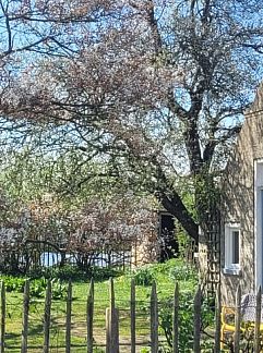 Appartement Elements, Formerum, Terschelling, 