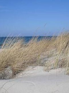 Apartment Appartement 2 Raum  Graal-Müritz, Graal-Müritz, Baltic Sea, Germany