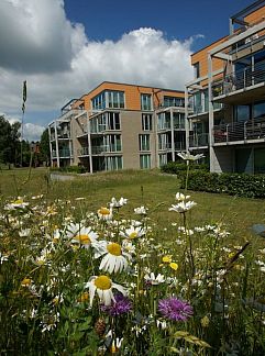 Apartment Appartement Gesamte Wohnung in Alt Travemünde-Rönnau, Lübeck, Baltic Sea, Germany