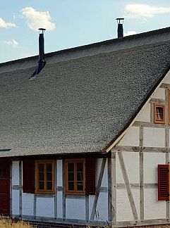 Ferienhaus Vakantiehuis mit Terrasse mitten im Grünen, Altwarp, Ostsee, Deutschland