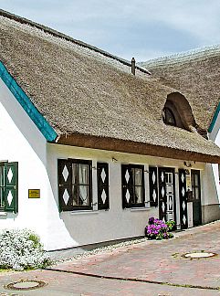 Ferienhaus Vakantiehuis Strandflieder, Groß Zicker, Ostsee, Deutschland