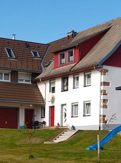 Apartment Appartement Willmann, Eisenbach, Black Forest, Germany