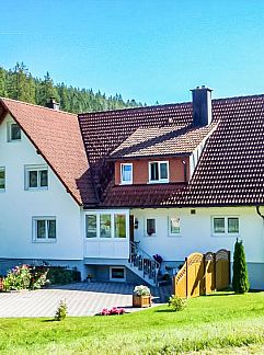Apartment Appartement Willmann, Eisenbach, Black Forest, Germany