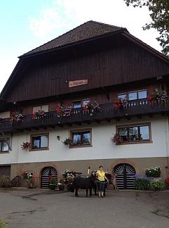 Apartment Landgasthof zum Pflug, Zell am Harmersbach, Black Forest, Germany