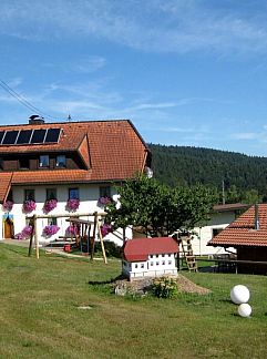 Appartement Appartement Appartement in Wittenschwand, Dachsberg, Schwarzwald, Deutschland