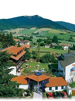 Appartement Ferienwohnungen Schmid, Lam, Bayern, Deutschland
