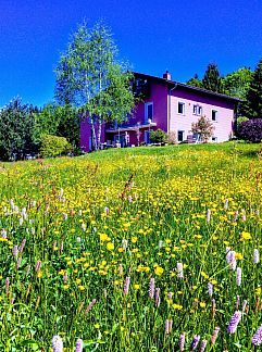 Holiday property Vakantiehuis Baur, Neureichenau, Bavaria, Germany