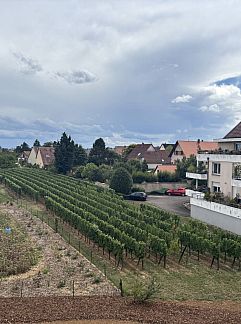 Appartement Appartement Das Ferienhaus Caspar für 2 bis 4 Personen, Obernai, Elzas, Frankrijk