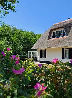 Holiday stay or cottage wanted? Book here your holiday worldwide