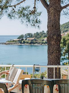 Appartement Appartement Le Télémaque 3 pièces mezzanine, Tarco, Corsica, Frankrijk