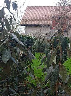 Logement de vacances Vakantiehuisje in Lier, Lier, Anvers, Belgique