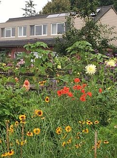 Vakantiewoning Vakantiehuisje in Rijkevorsel, Rijkevorsel, Antwerpen, België