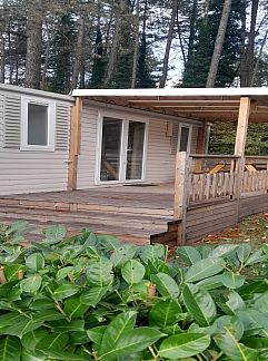 Chambres d'hôtes B&B Tuin der Zinnen, Rijkevorsel, Anvers, Belgique