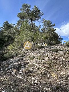 Ferienhaus Vakantiehuis Bois d'Astros, Rocbaron, Provence / Cote d'Azur, Frankreich