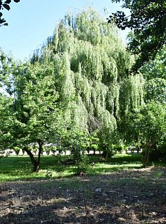 Appartement Novotel Lyon Gerland Musée des Confluences, Lyon, Rhone-Alphes, Frankreich