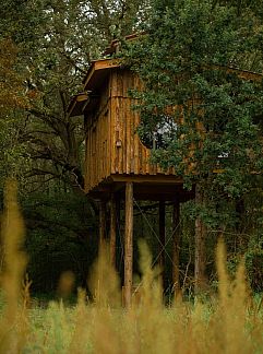 Vakantiewoning Cabane Spa Amarante, Saint-Léger-aux-Bois, Picardie, Frankrijk