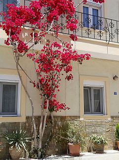 Appartement Appartement Wohnung mit Gartenblick, Kreta, Ierapetra, Anatoli, Crète, Grèce