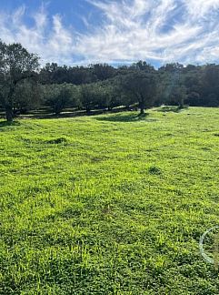 Ferienhaus oder Ferienwohnung gesucht? Buchen Sie Ihren Urlaub weltweit