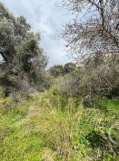 Holiday stay or cottage wanted? Book here your holiday worldwide