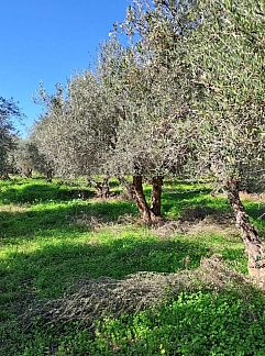 Appartement Appartement in Rethimno, Rethymno, Kreta, Griechenland