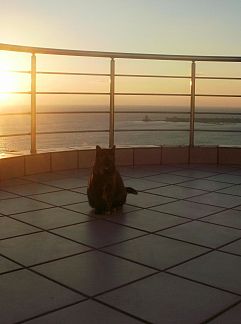 Logement de vacances Vakantiehuis Pilias, Evangelismos, Péloponnèse, Grèce